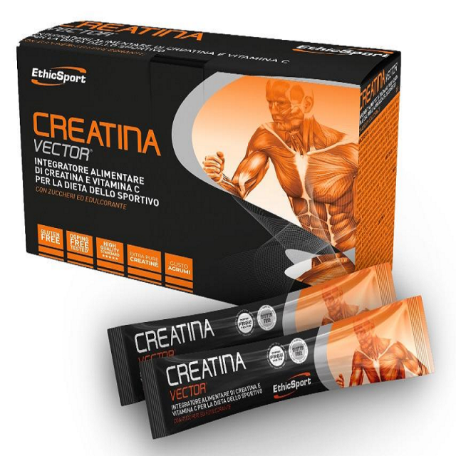 CREATINA VECTOR